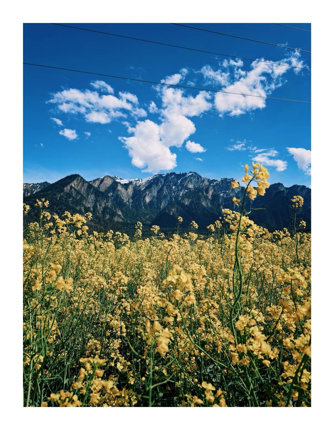 Bild ohne Beschreibung