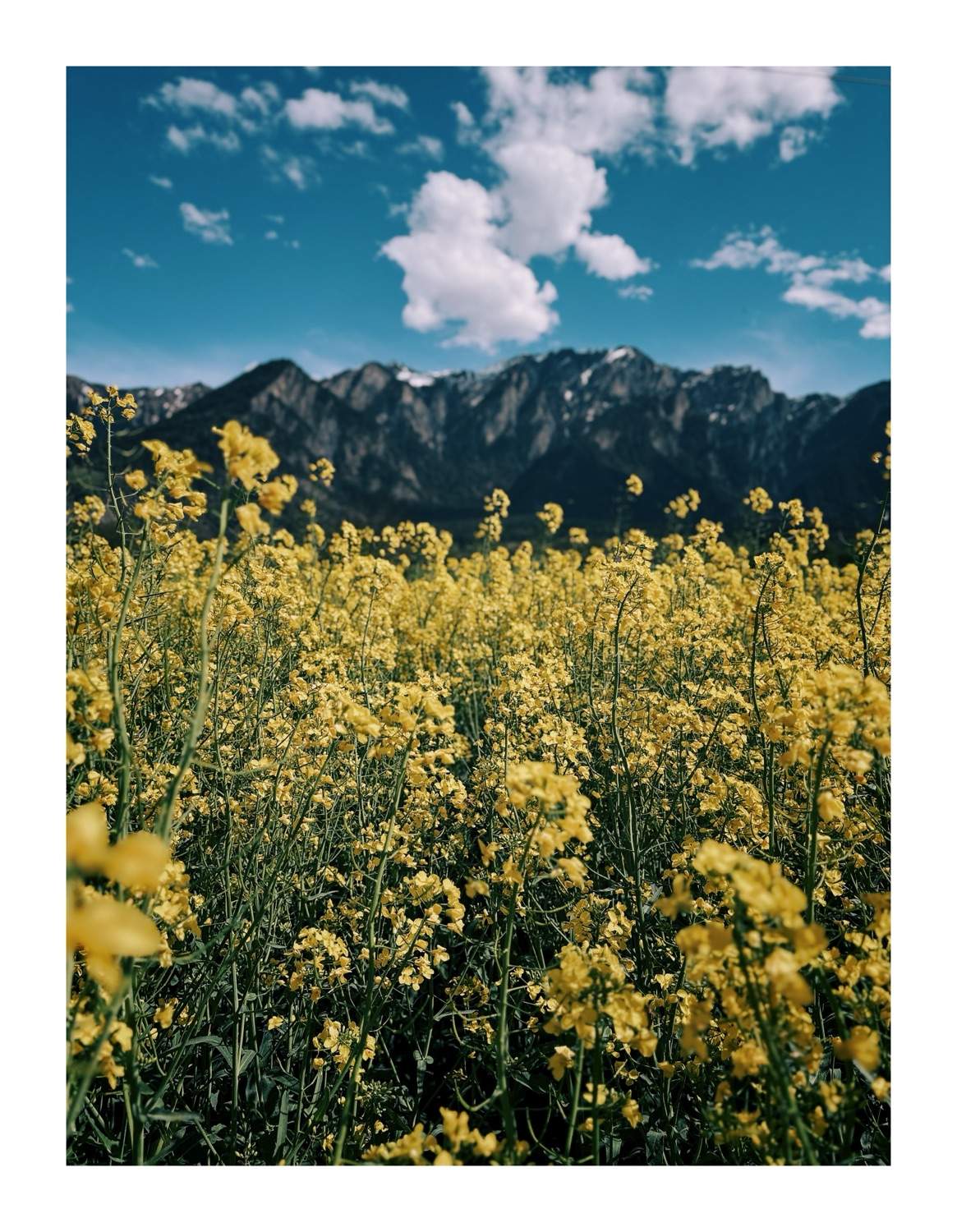 Bild ohne Beschreibung