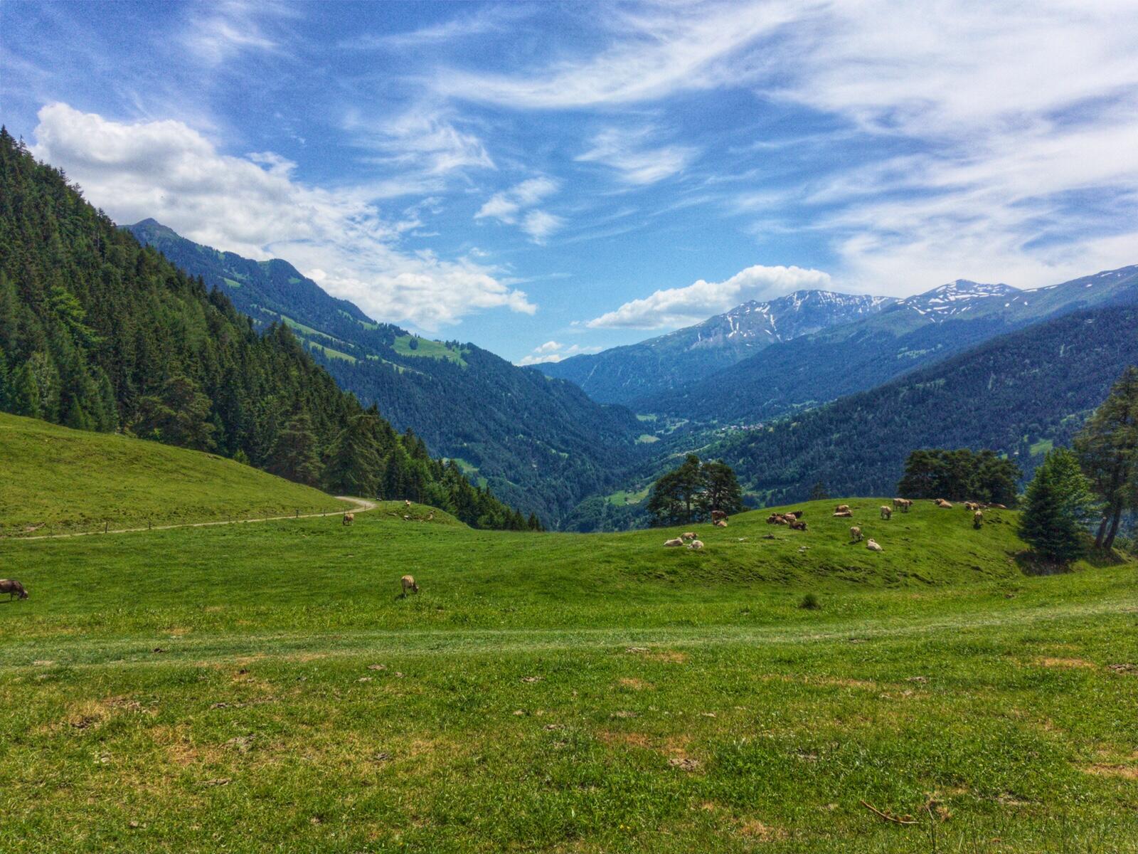 Bild ohne Beschreibung Bild ohne Beschreibung