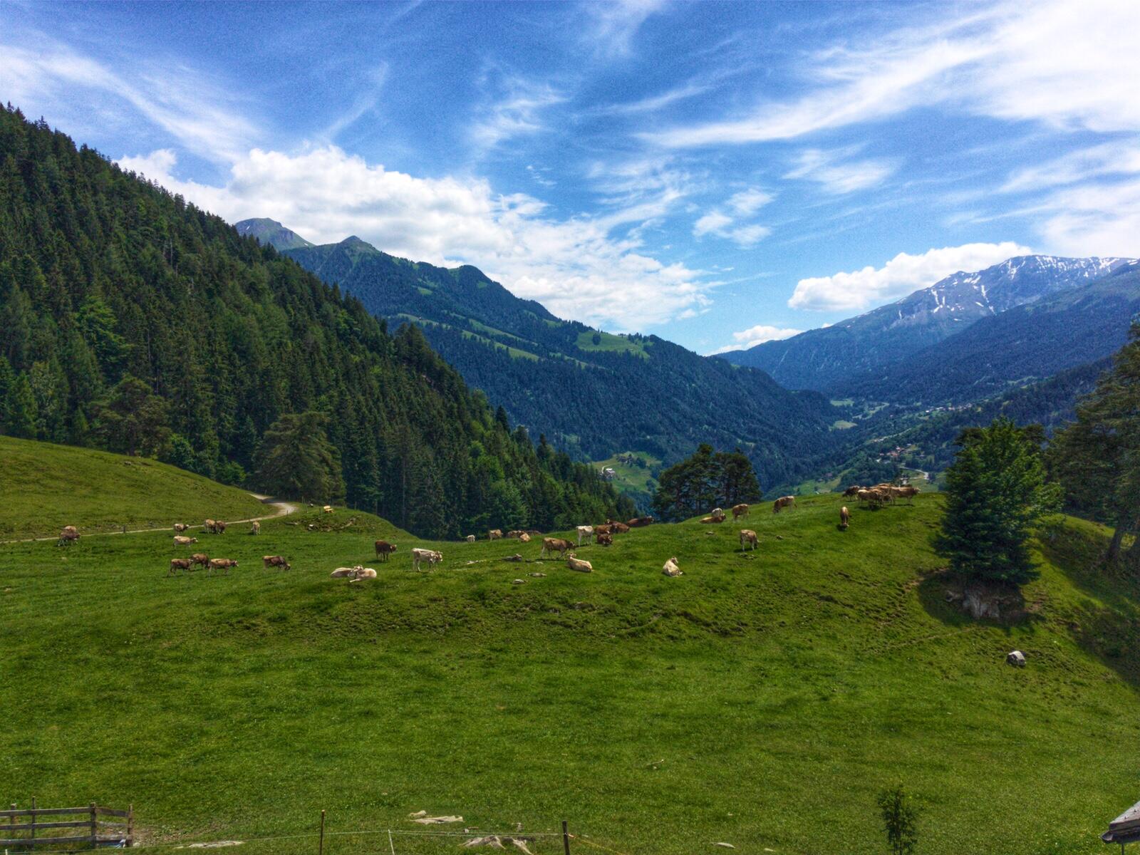 Bild ohne Beschreibung Bild ohne Beschreibung