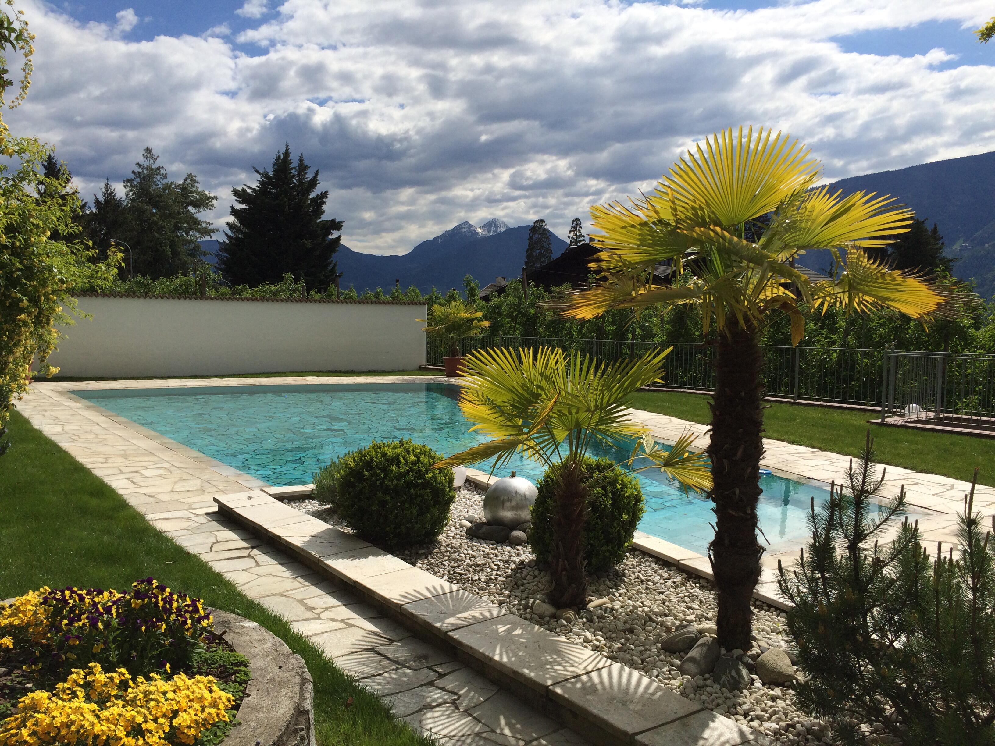 Bild ohne Beschreibung