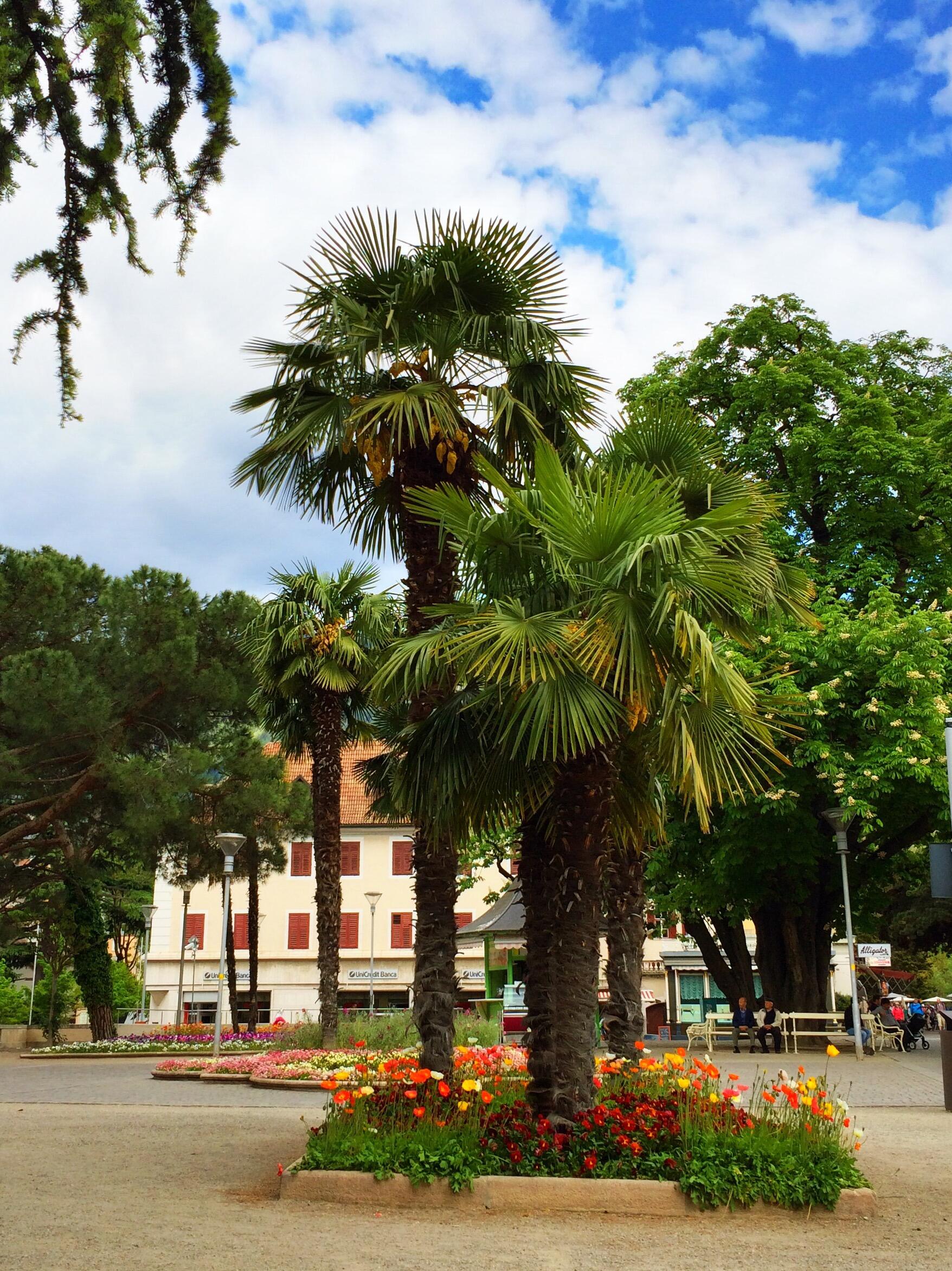 Bild ohne Beschreibung