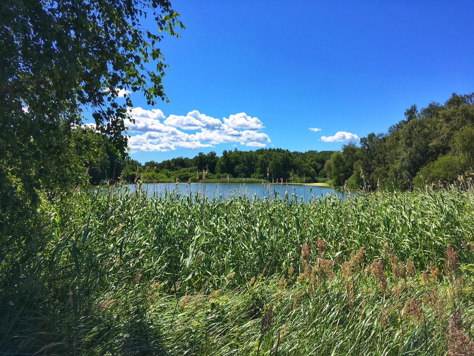 Bild ohne Beschreibung Bild ohne Beschreibung