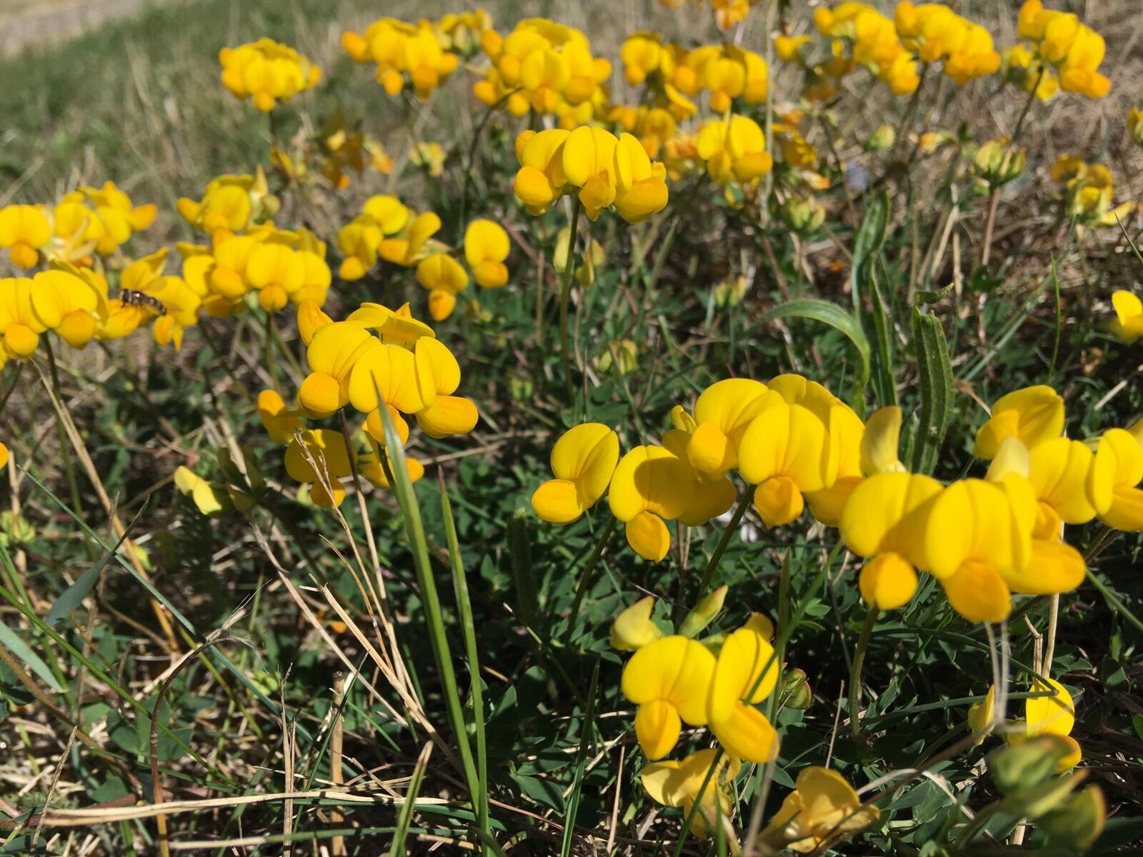 Bild ohne Beschreibung Bild ohne Beschreibung