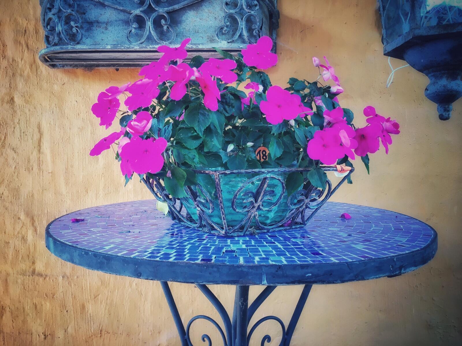 Bild ohne Beschreibung