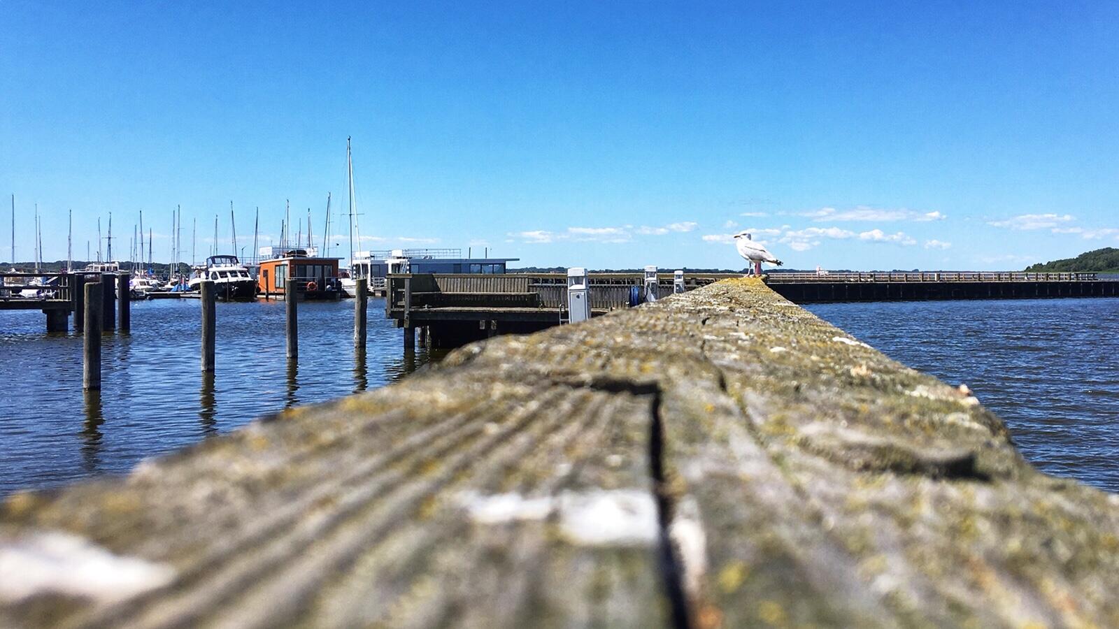 Bild ohne Beschreibung