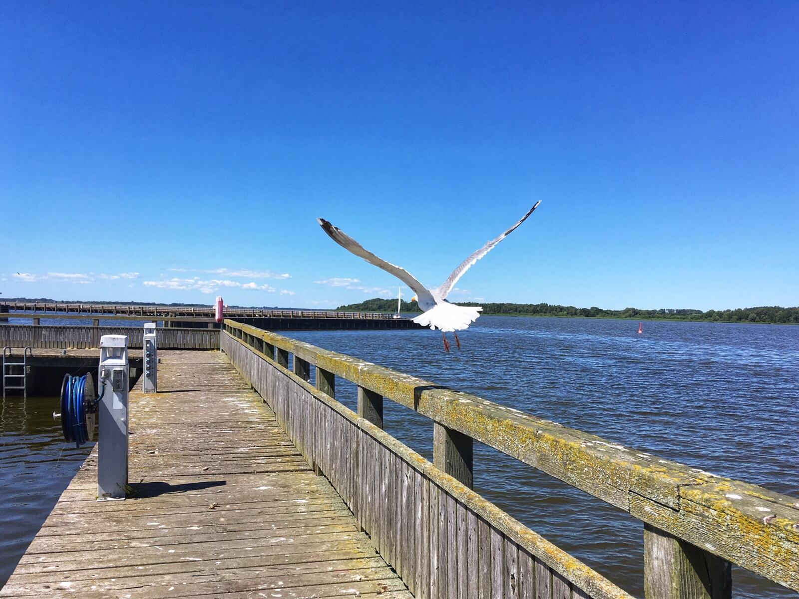 Bild ohne Beschreibung