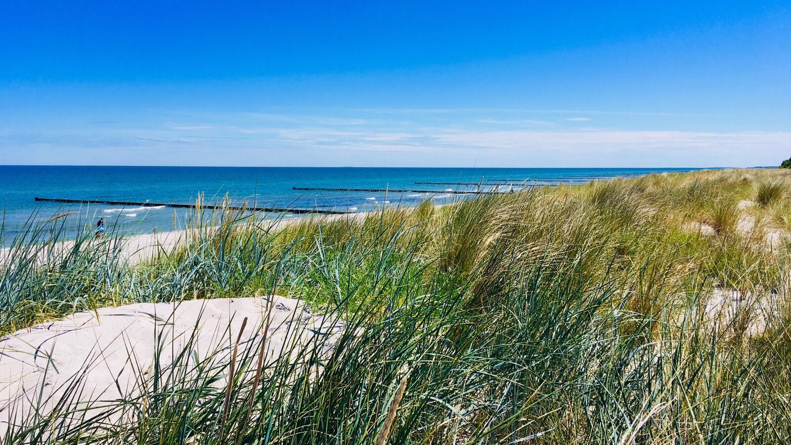 Bild ohne Beschreibung