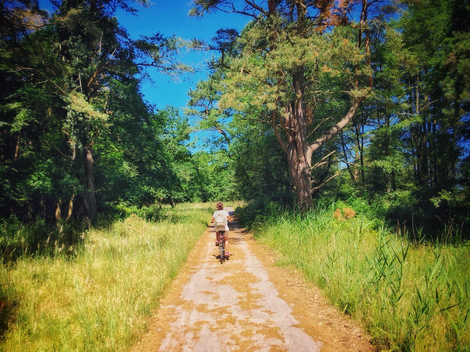 Bild ohne Beschreibung