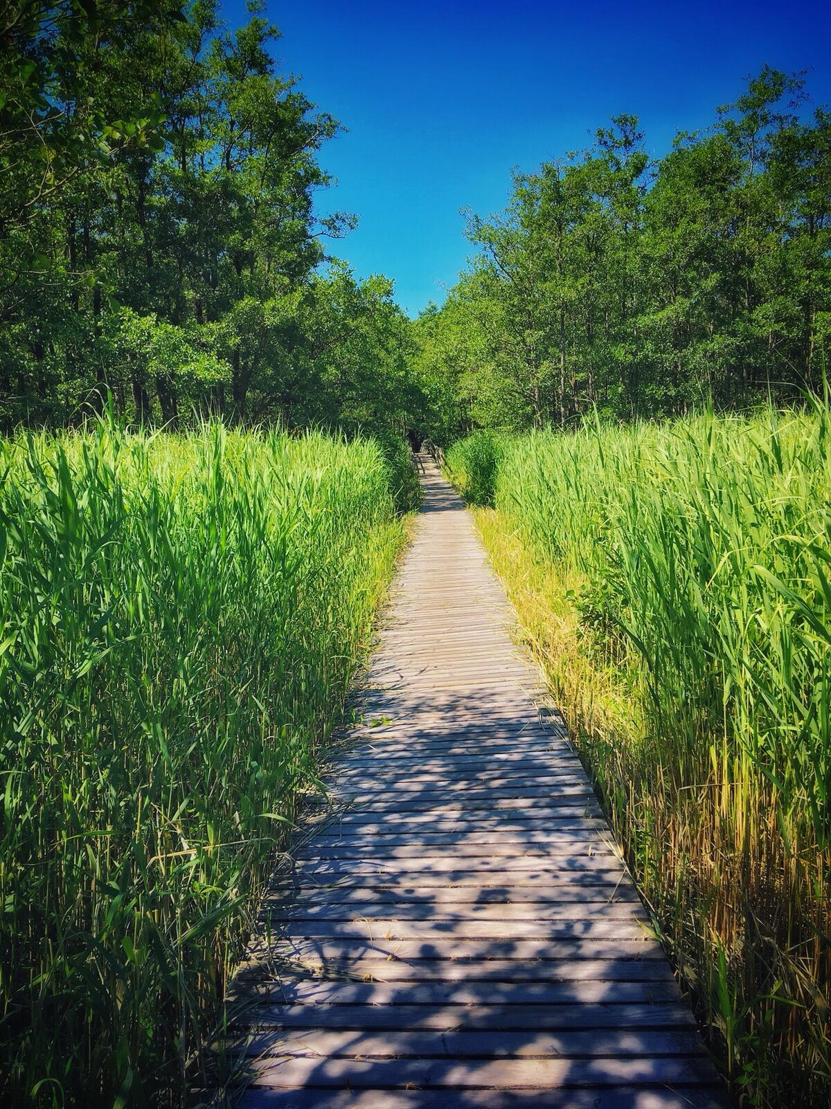 Bild ohne Beschreibung