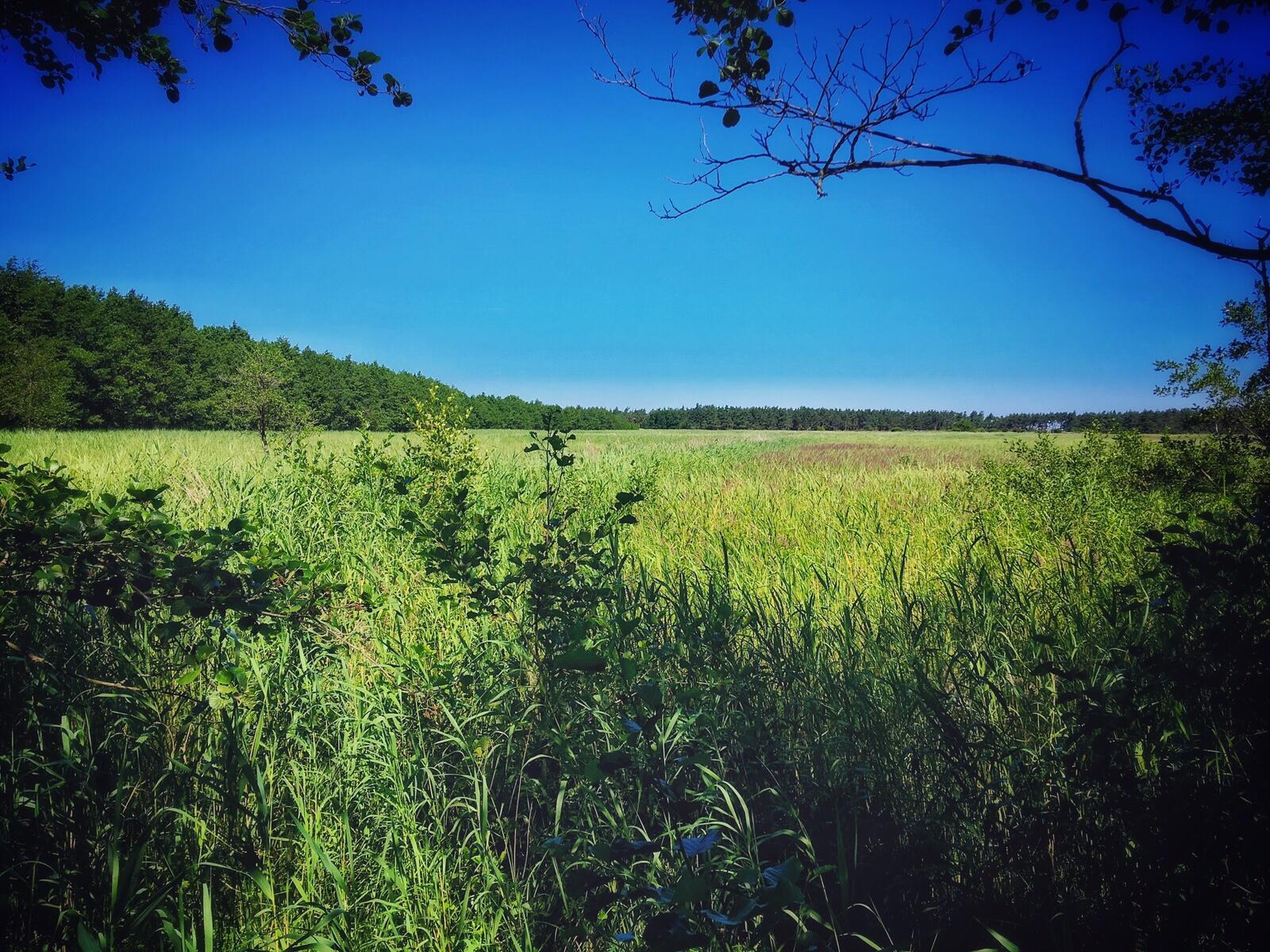 Bild ohne Beschreibung