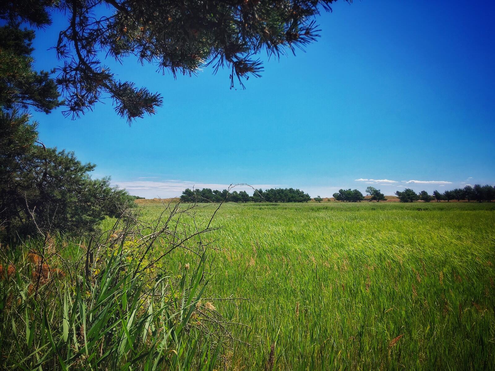 Bild ohne Beschreibung