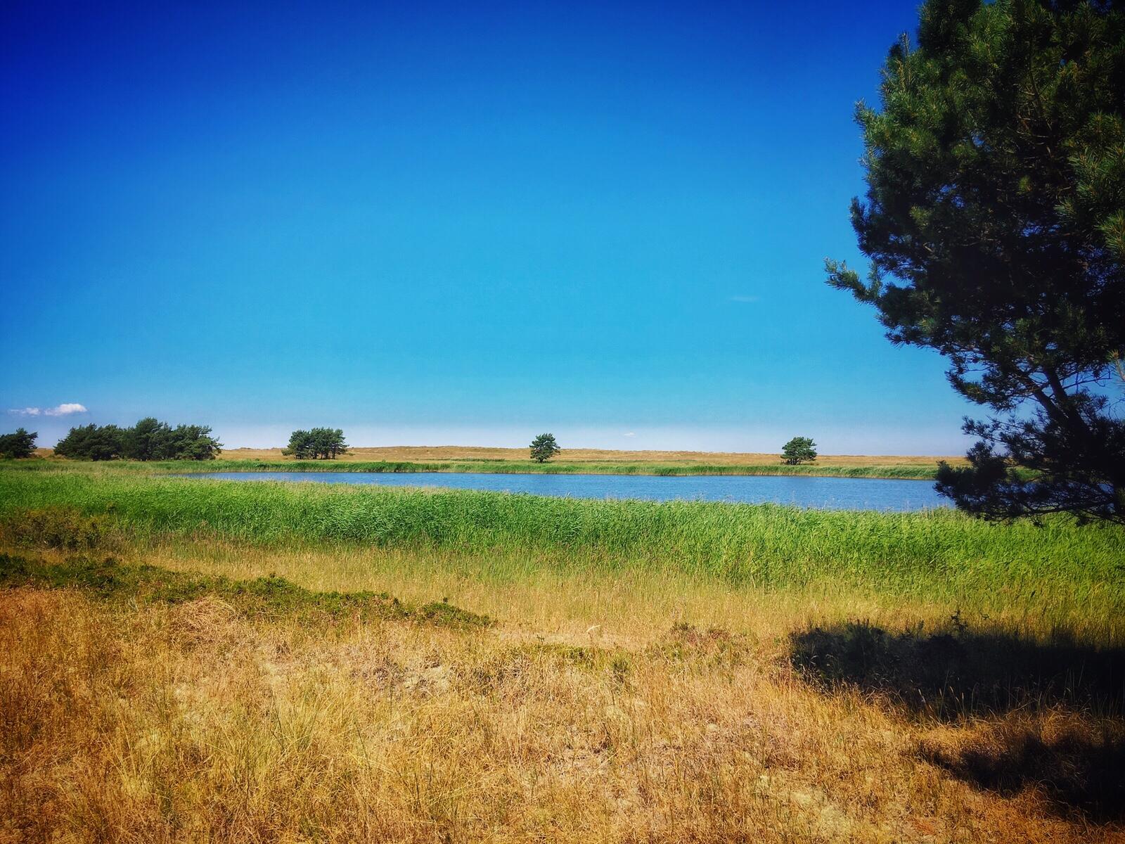 Bild ohne Beschreibung