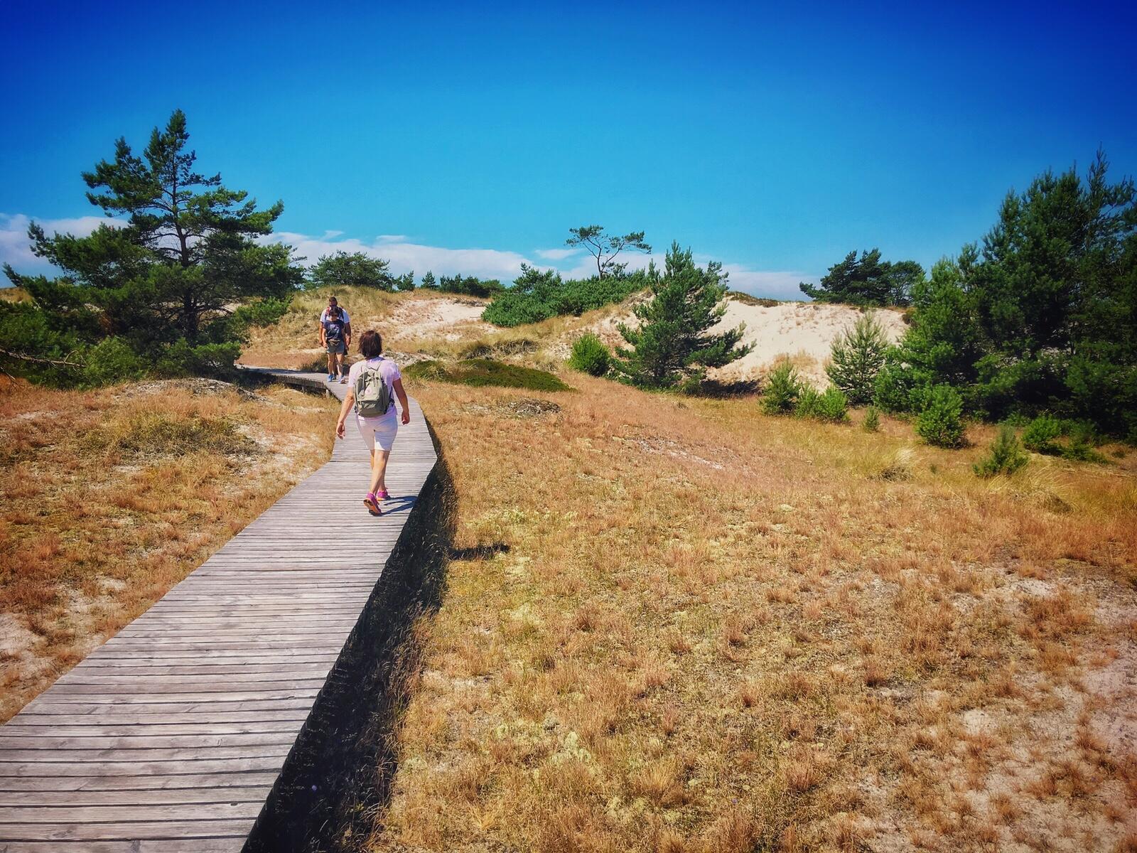 Bild ohne Beschreibung