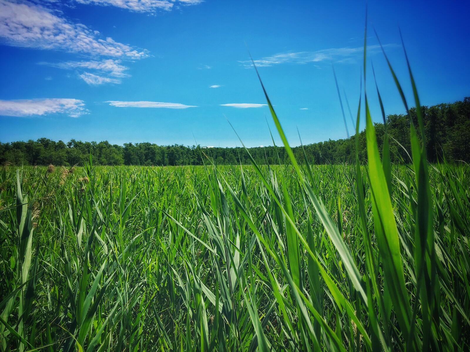 Bild ohne Beschreibung