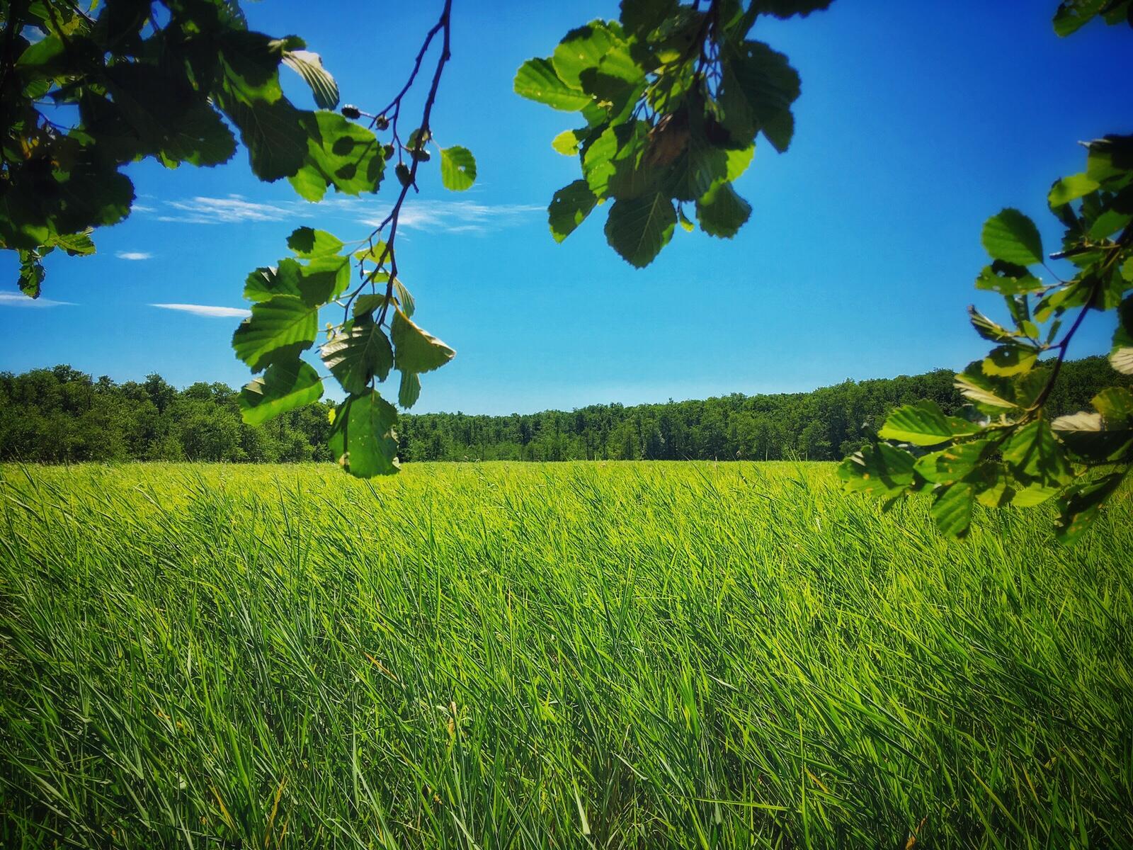 Bild ohne Beschreibung