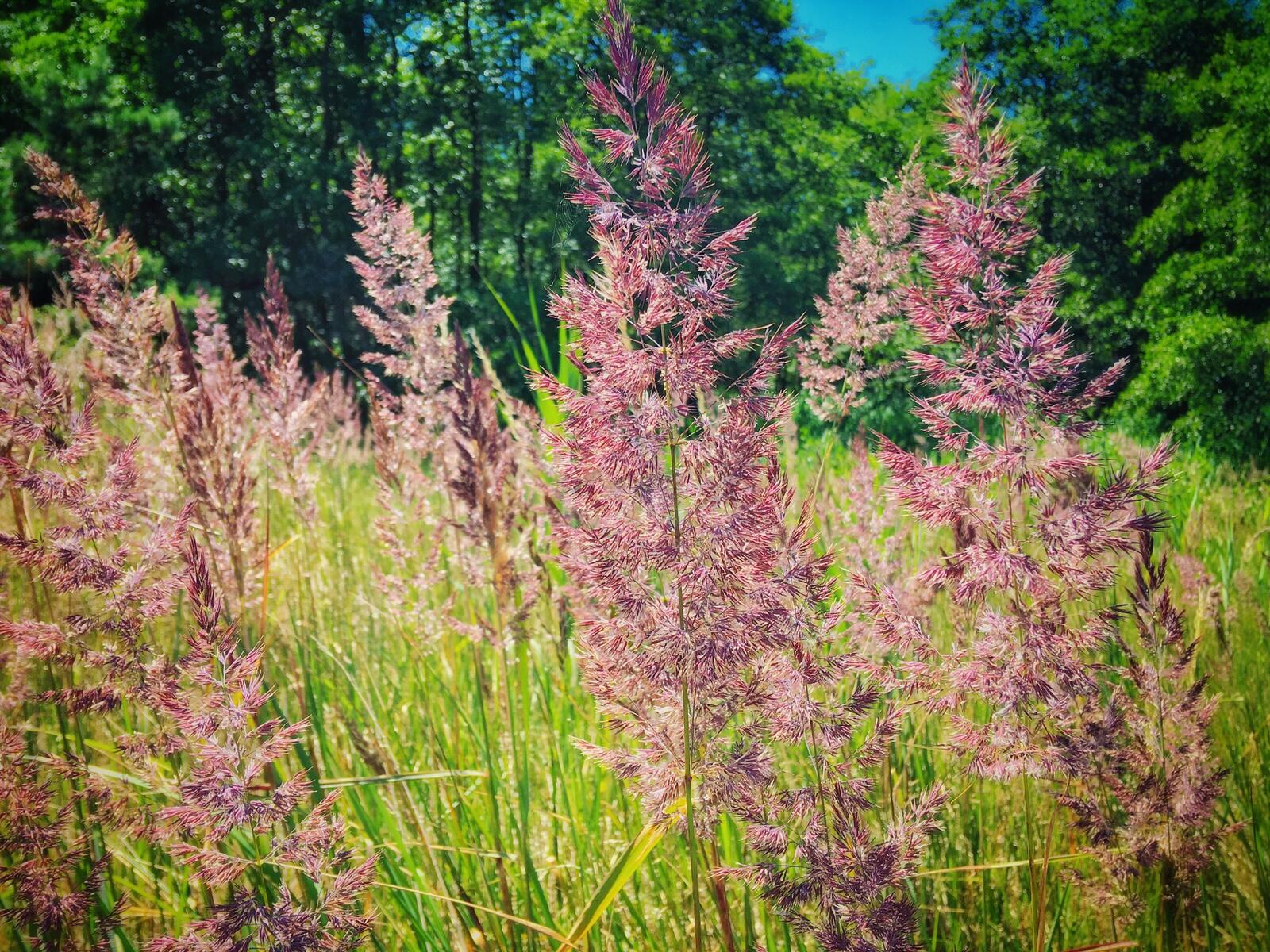 Bild ohne Beschreibung