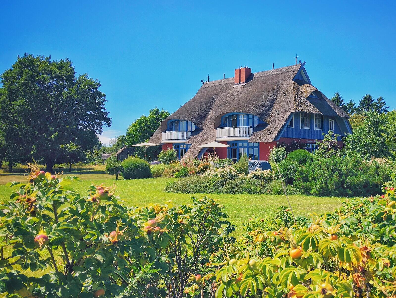 Bild ohne Beschreibung