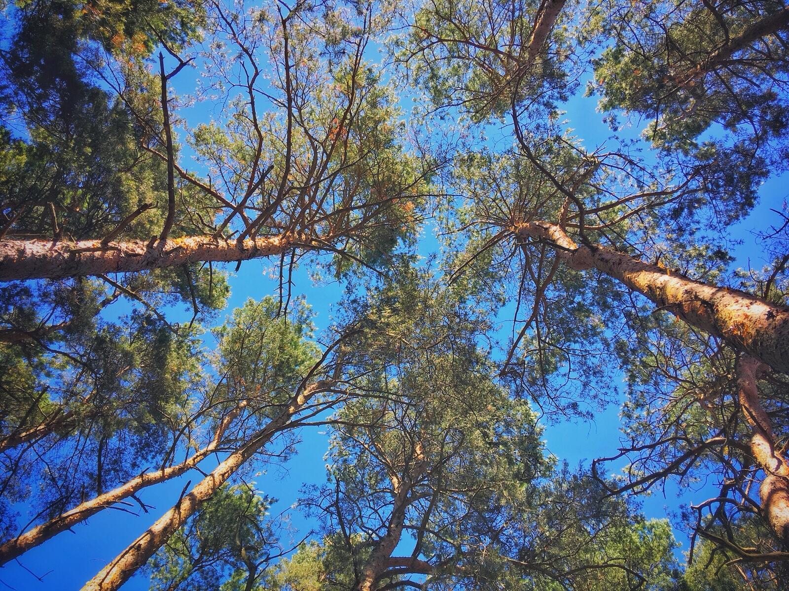 Bild ohne Beschreibung