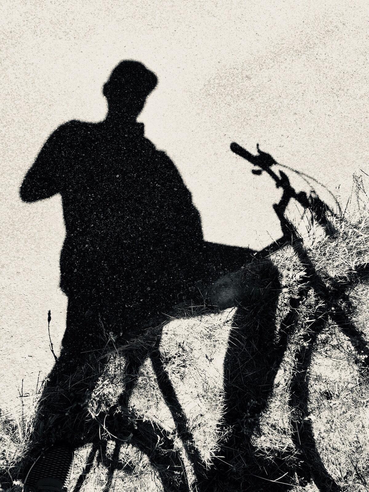 Bild ohne Beschreibung