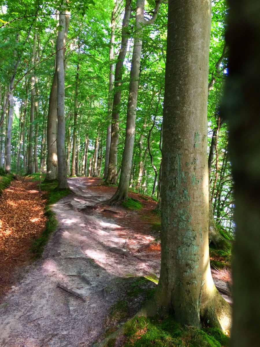 Bild ohne Beschreibung