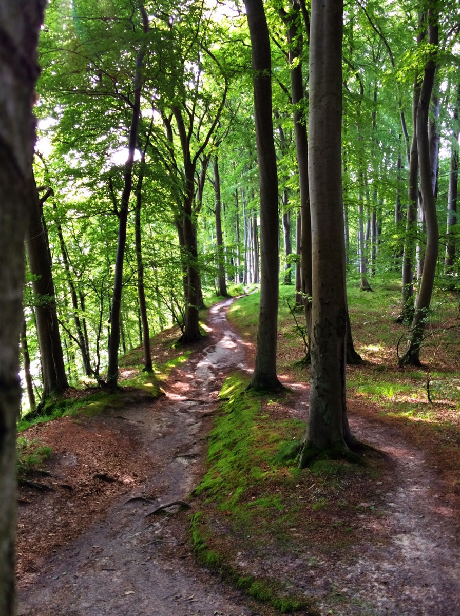 Bild ohne Beschreibung