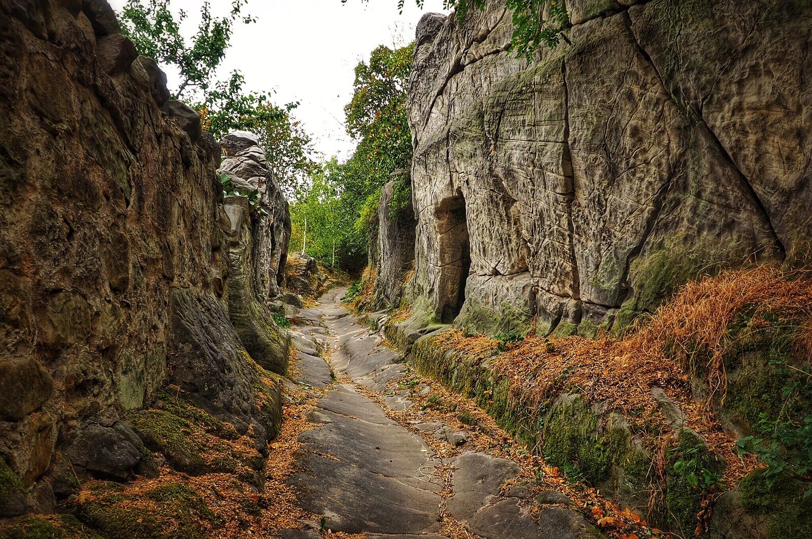 Bild ohne Beschreibung