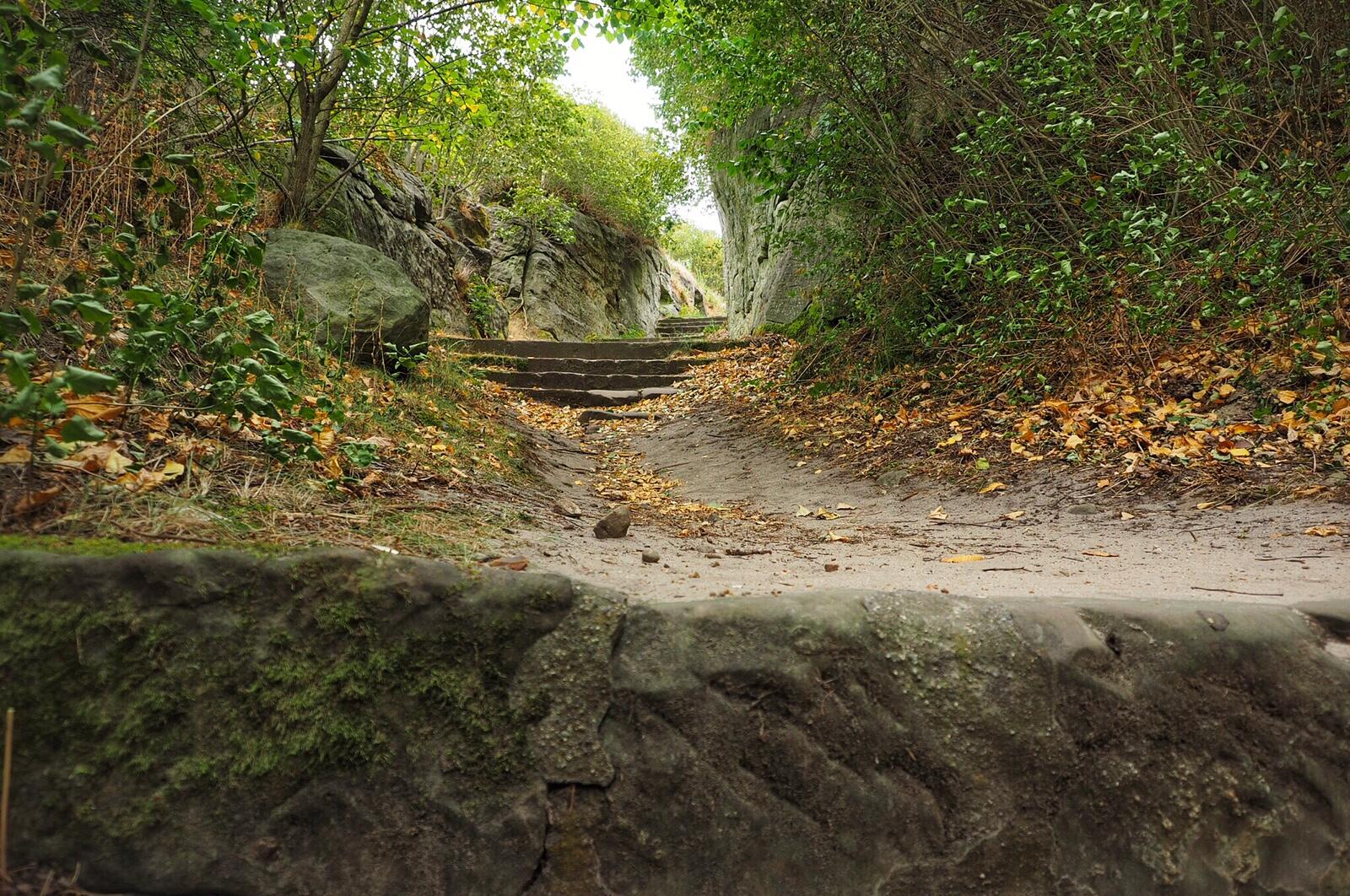 Bild ohne Beschreibung