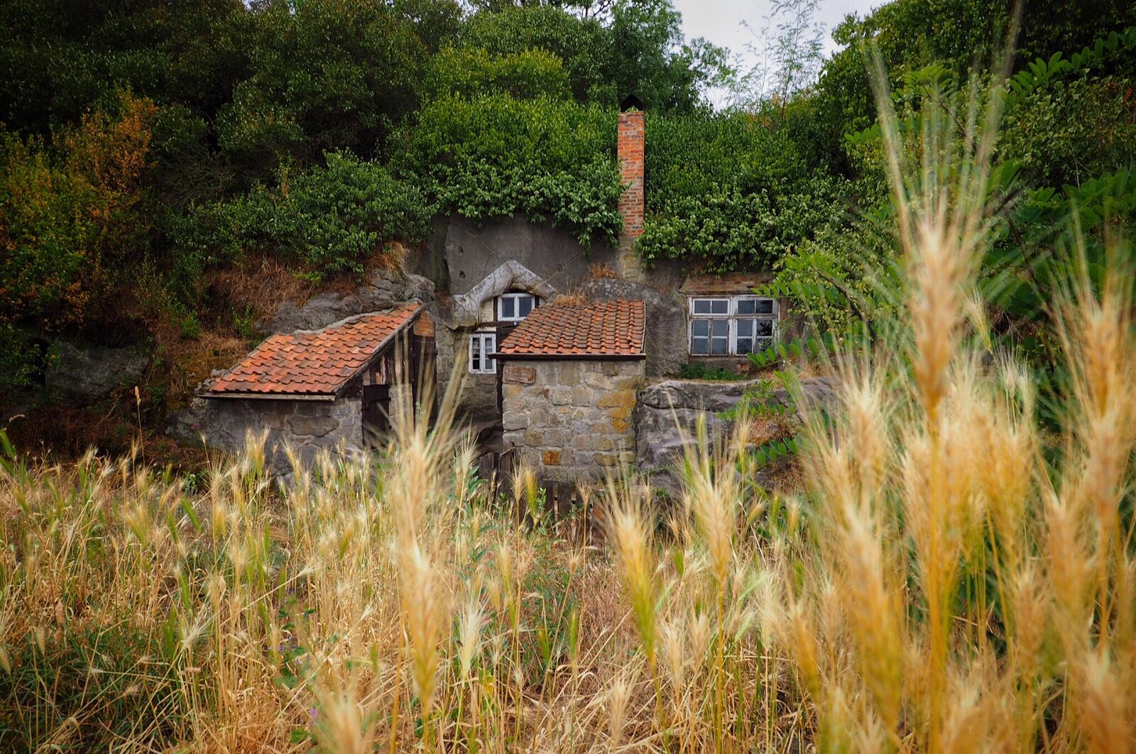 Bild ohne Beschreibung