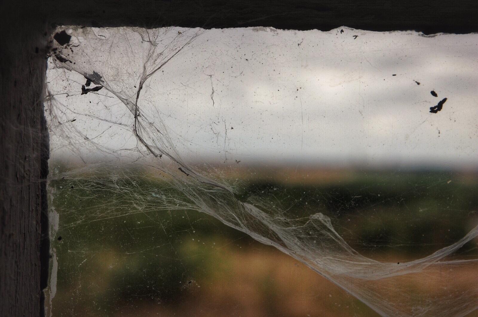 Bild ohne Beschreibung