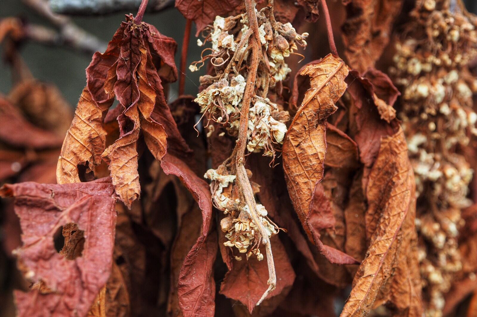 Bild ohne Beschreibung