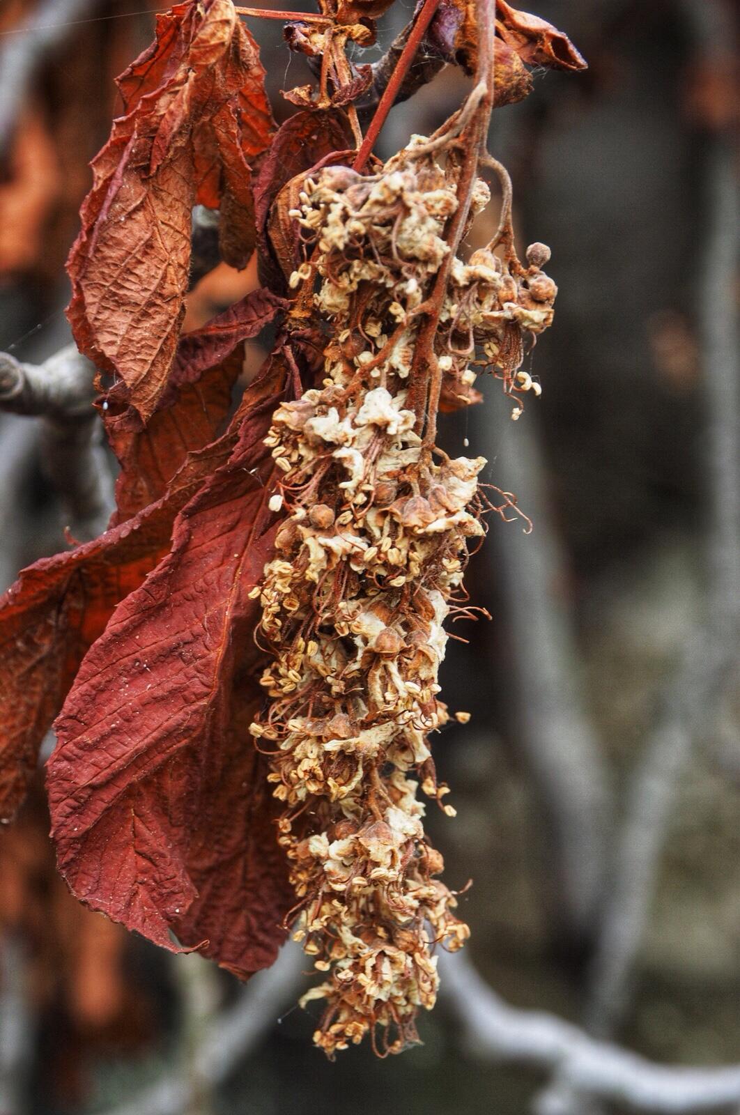 Bild ohne Beschreibung