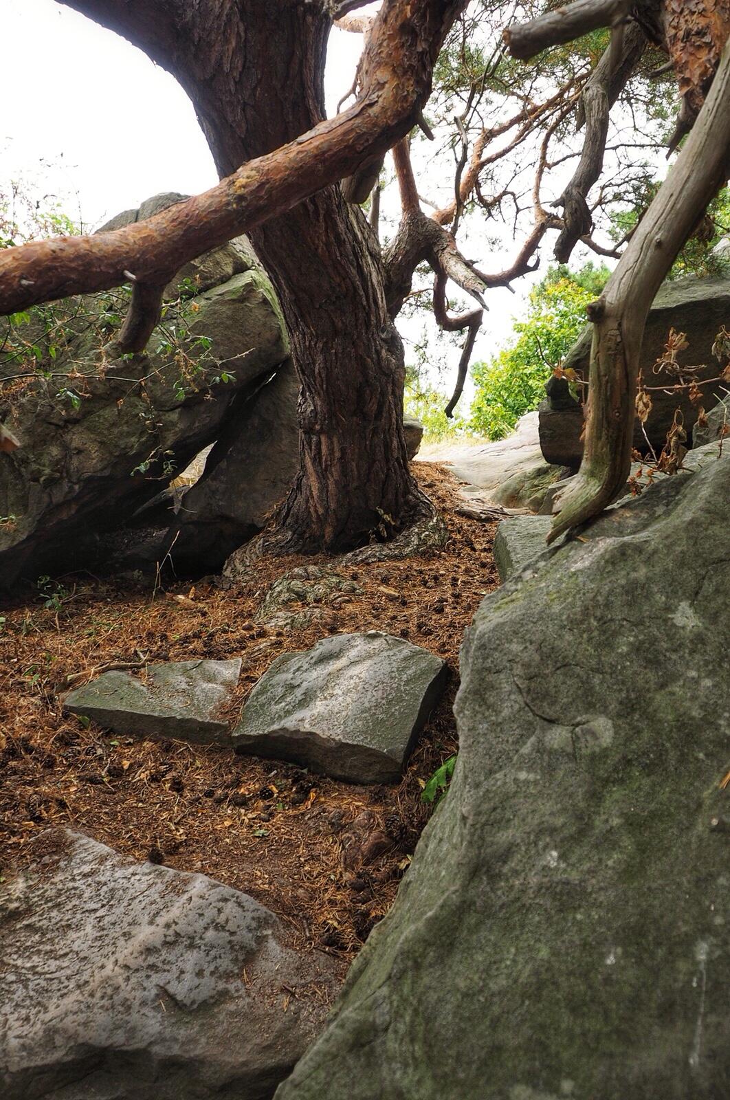 Bild ohne Beschreibung