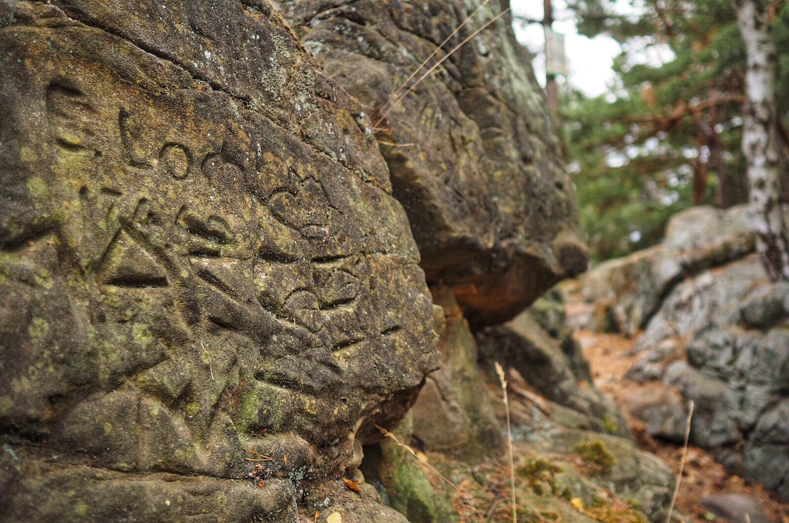 Bild ohne Beschreibung