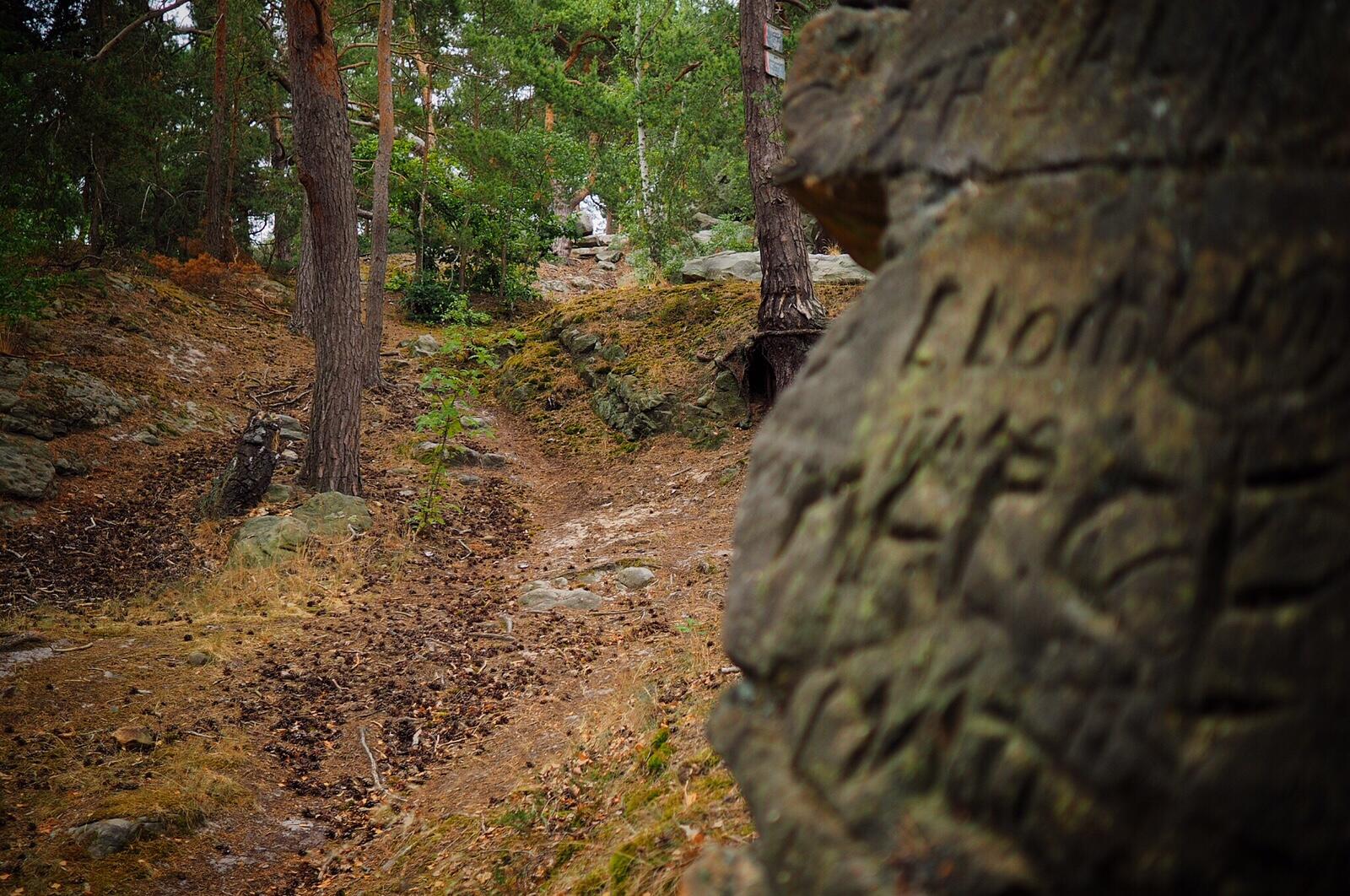 Bild ohne Beschreibung