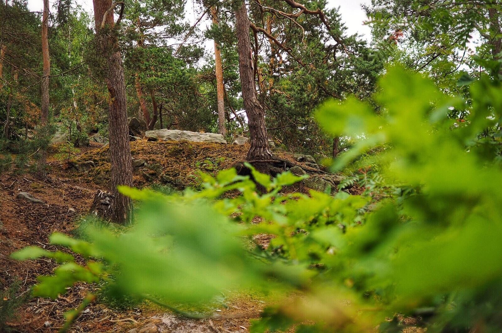 Bild ohne Beschreibung