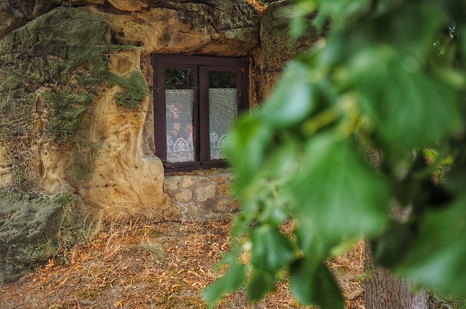 Bild ohne Beschreibung