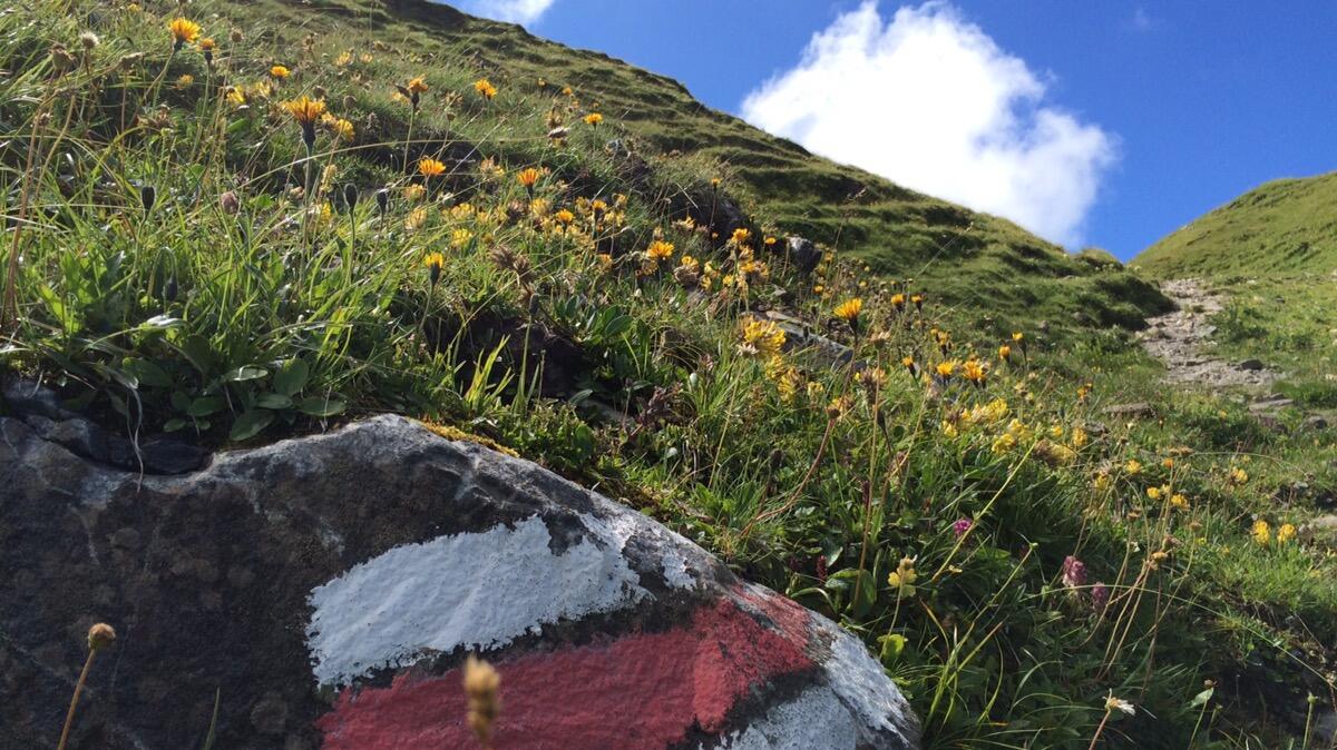 Bild ohne Beschreibung