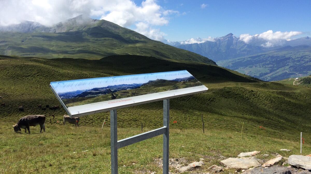 Bild ohne Beschreibung