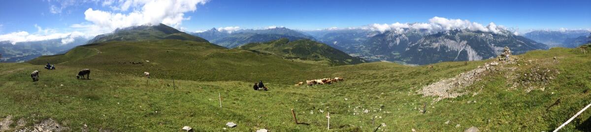 Bild ohne Beschreibung