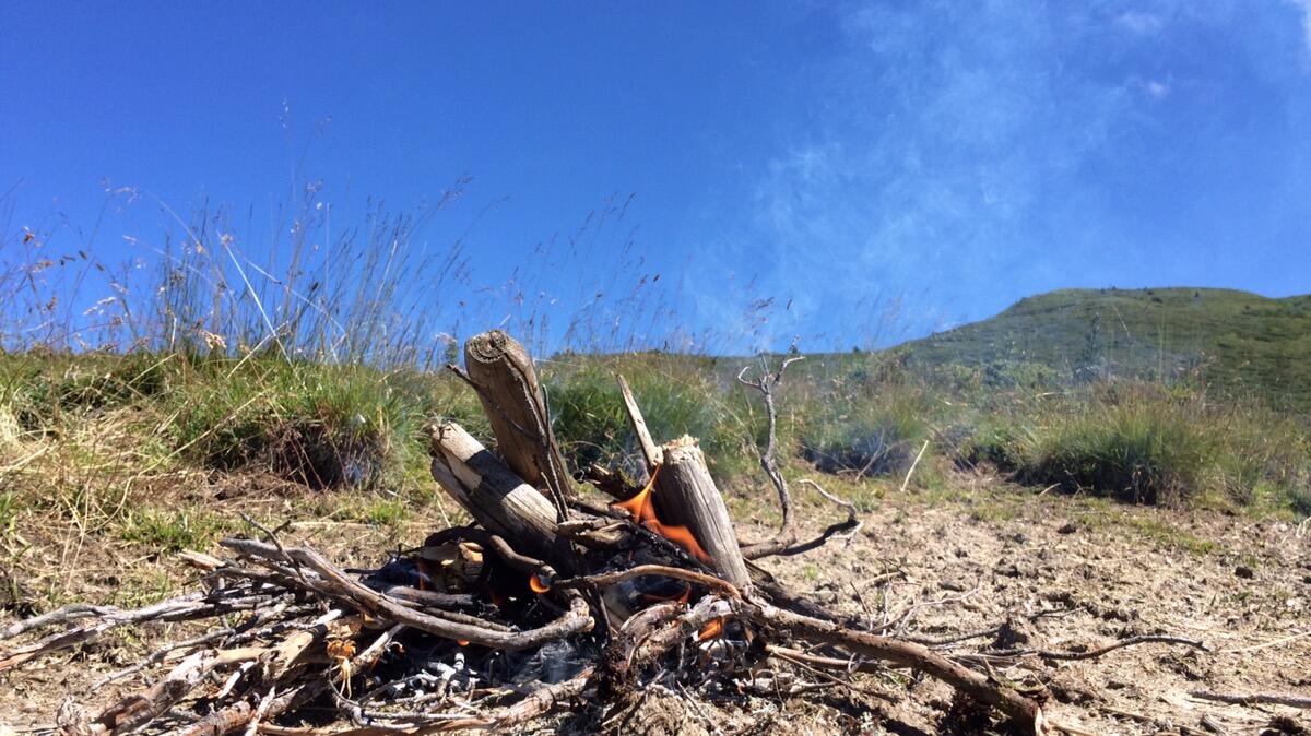 Bild ohne Beschreibung