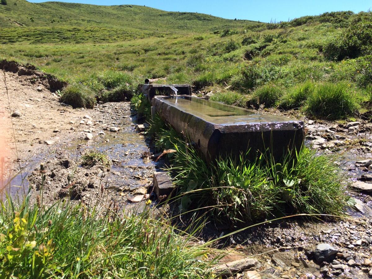 Bild ohne Beschreibung