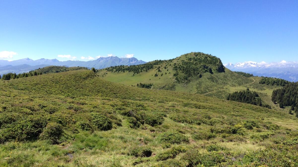 Bild ohne Beschreibung