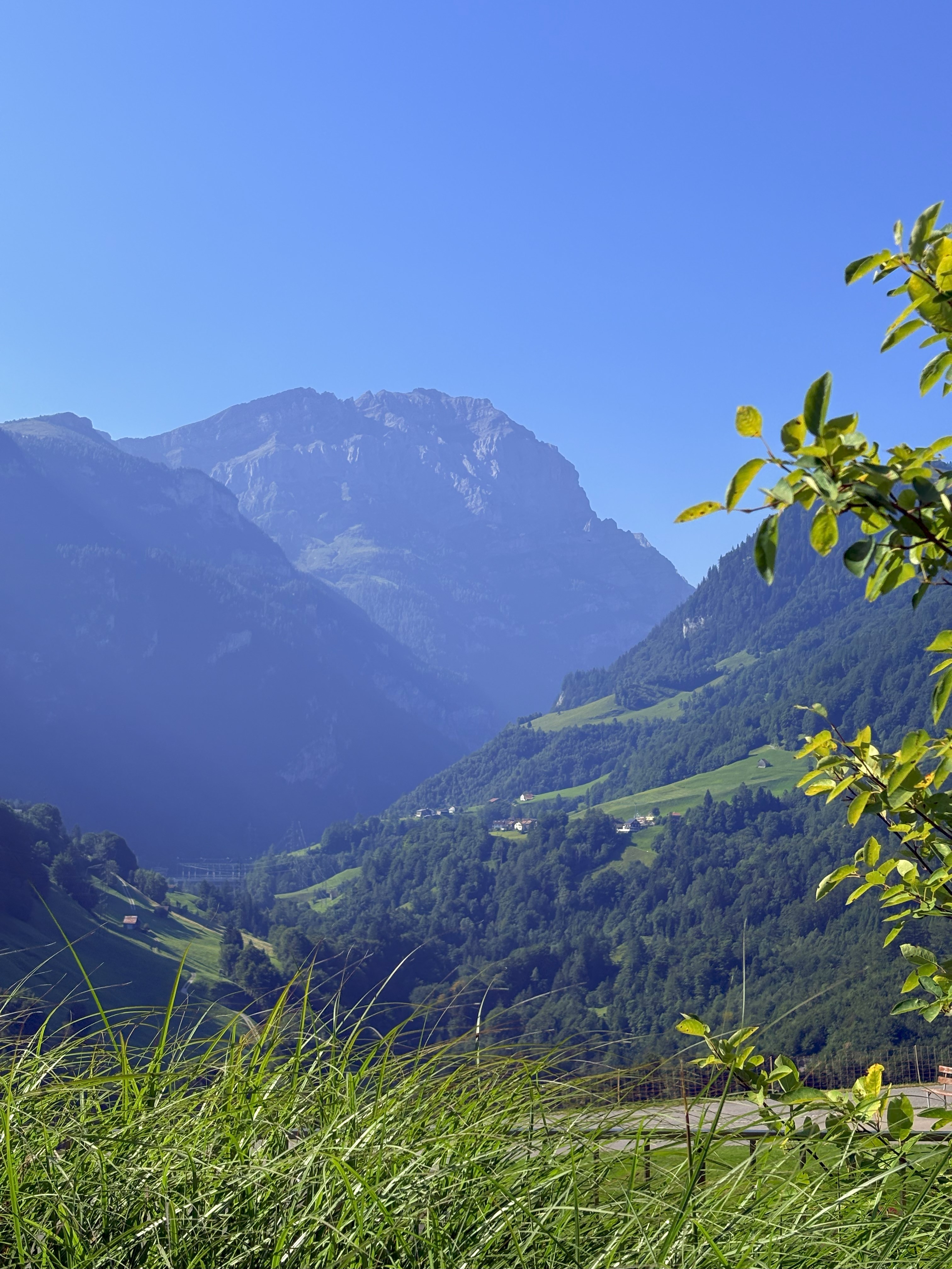 Bild ohne Beschreibung