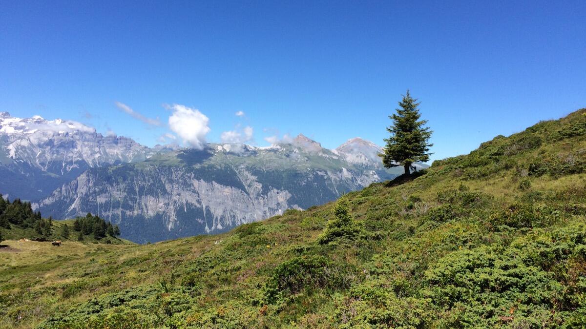 Bild ohne Beschreibung