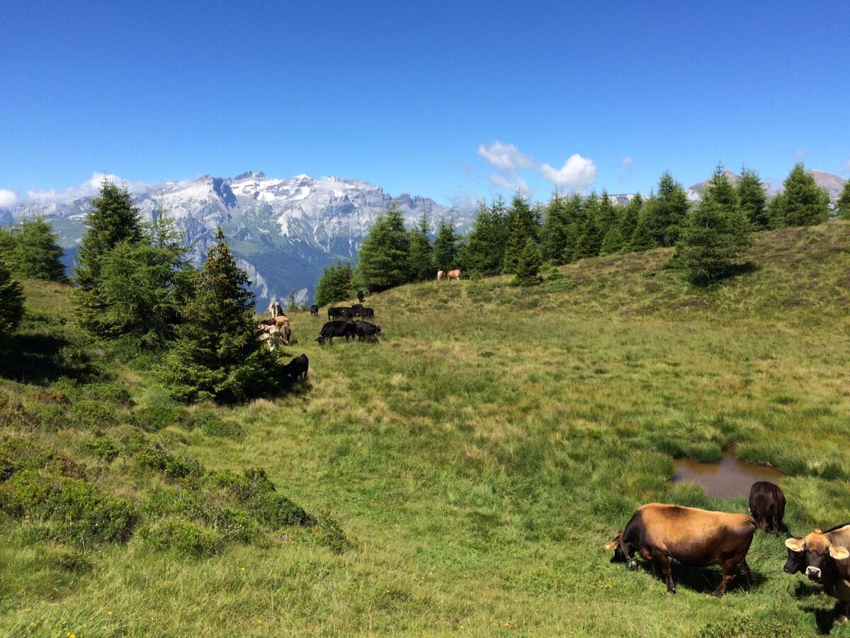 Bild ohne Beschreibung