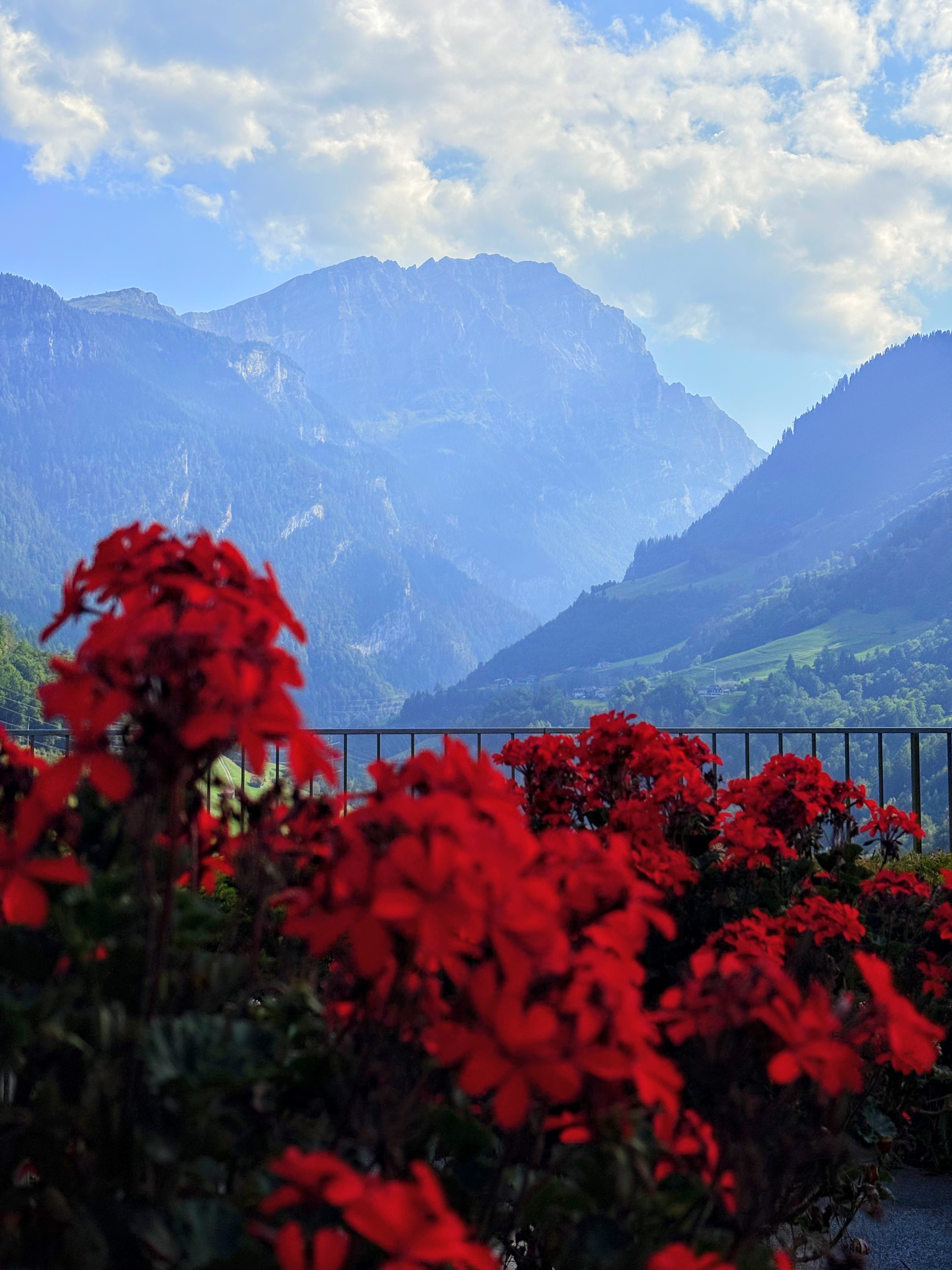 Bild ohne Beschreibung