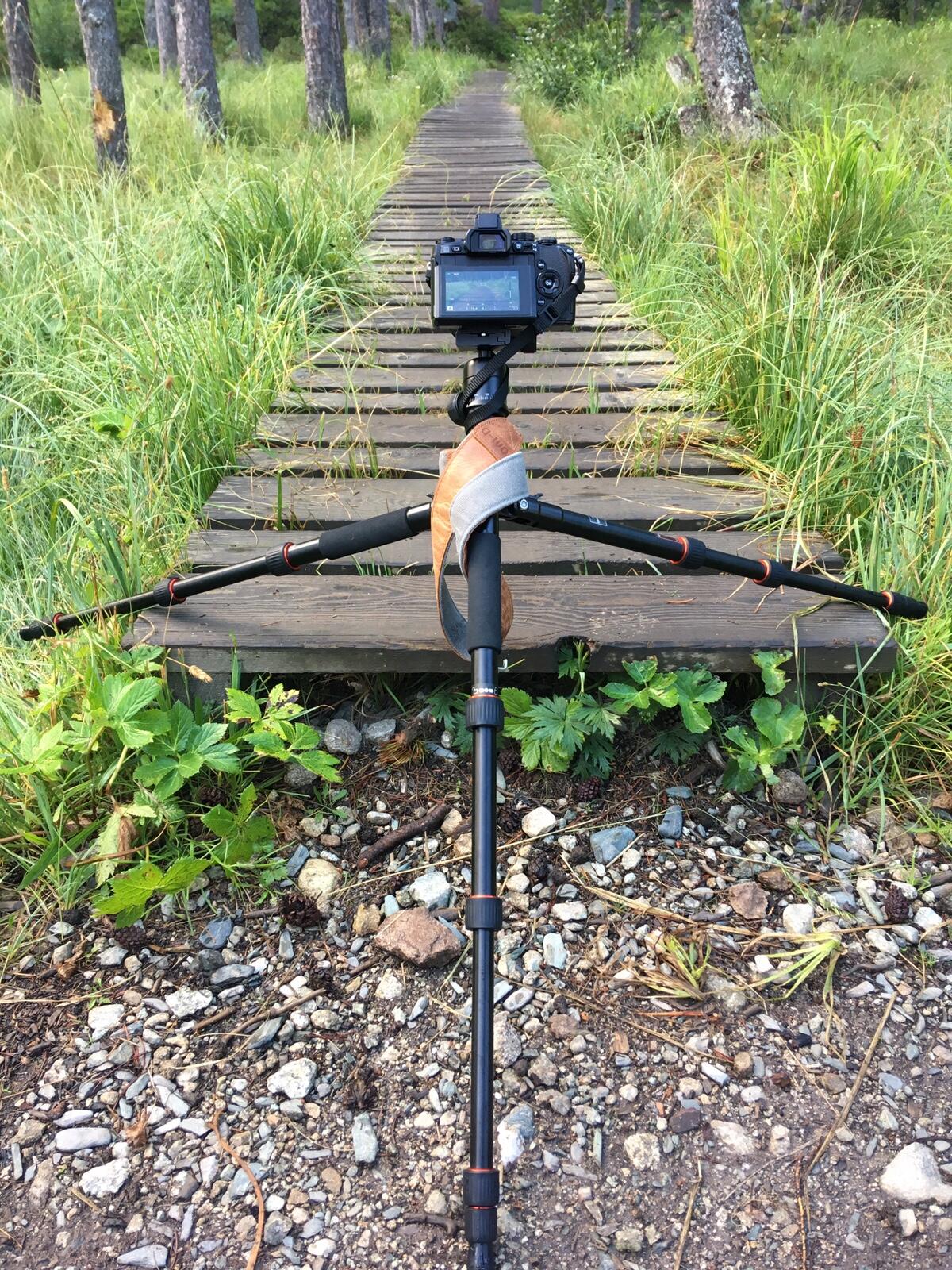 Bild ohne Beschreibung