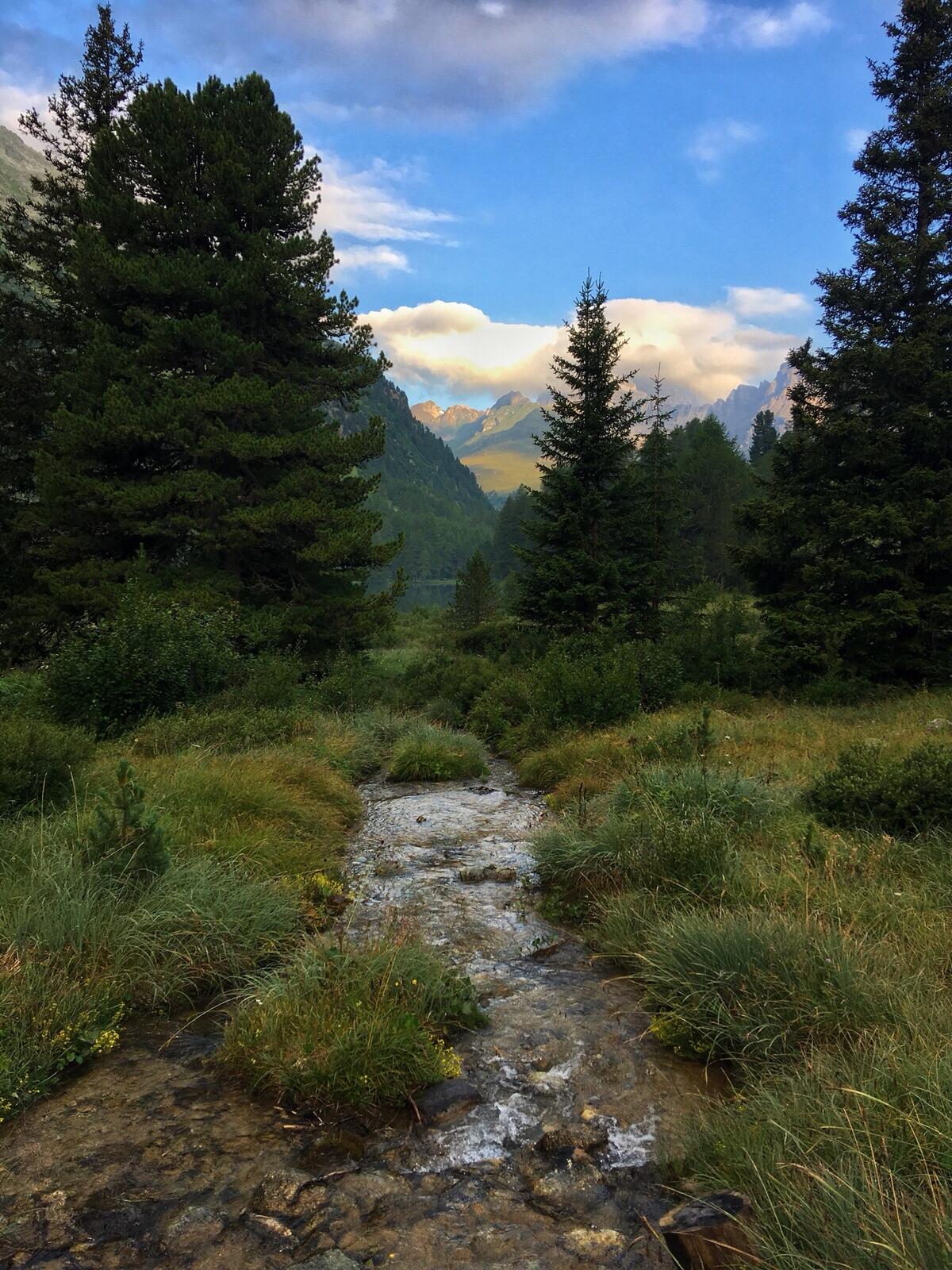 Bild ohne Beschreibung