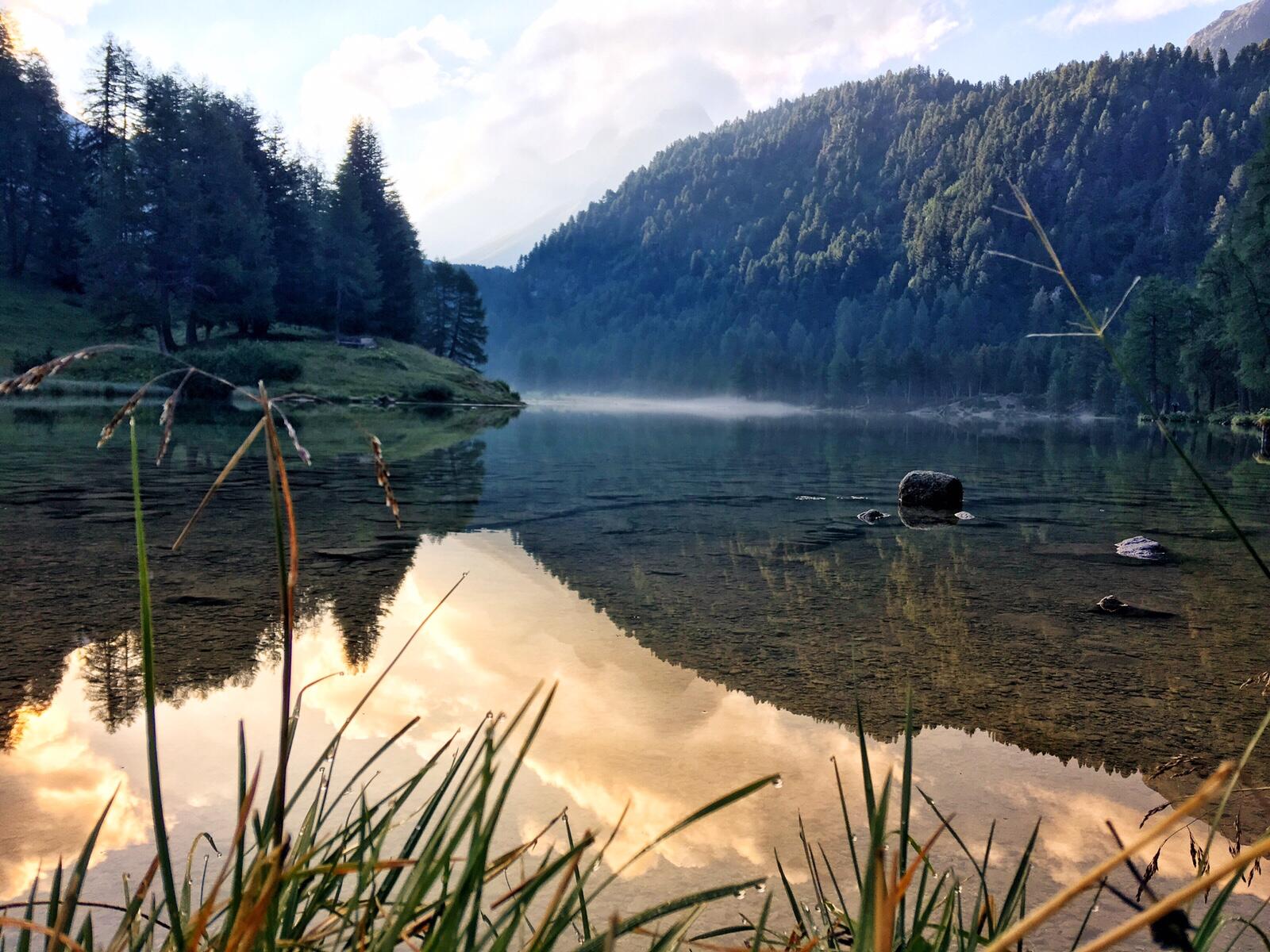 Bild ohne Beschreibung